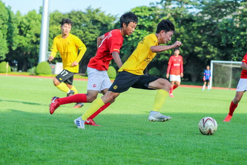 砸28个亿引园丁请陪练育精英,这家中国的青训兵工厂够豪