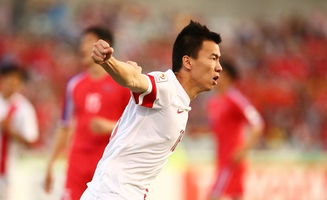 舜天高层 绝不出售众国脚 高洪波目标2015打进亚冠
