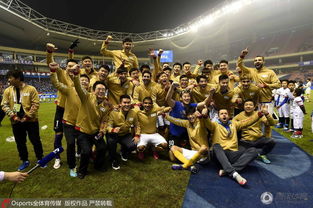 舜天众将士赛后肆意欢庆 任航划地庆祝