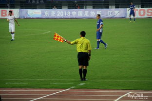 舜天足球 Powered by Discuz Board，点燃球迷社区的激情之火